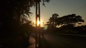 रोज़ – अज्ञेय