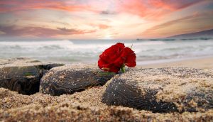 Behzad Lucknowi Best Sher Urdu Words for Shayari