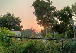 तू किसी रोज़ मेरे घर में उतर शाम के बाद – फ़रहत अब्बास शाह