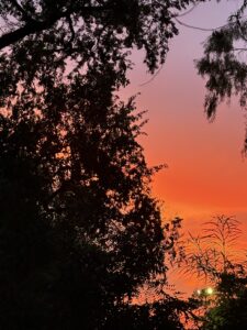 IMG_0392